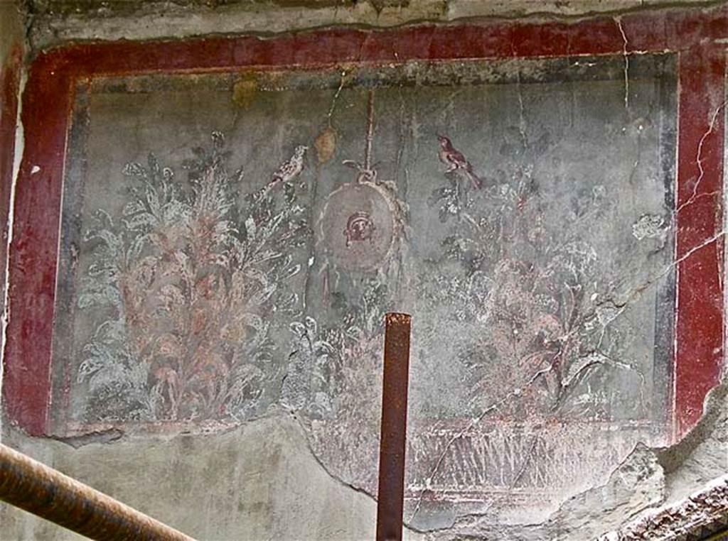 III.3 Herculaneum, April 2005. Detail of enhanced garden painting at east end of south wall above nymphaeum. Photo courtesy of Michael Binns.
